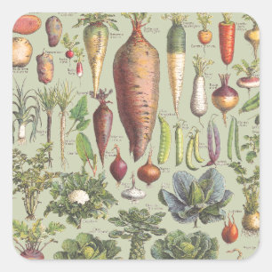 French Guide To The Garden Square Sticker