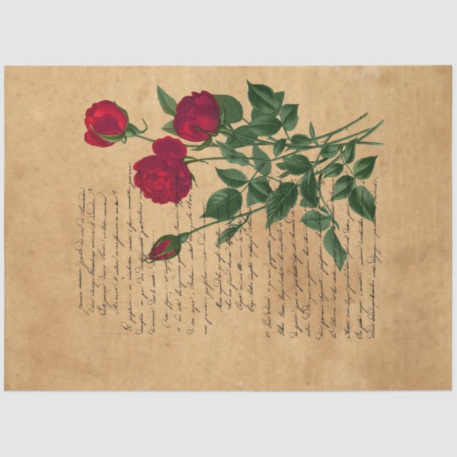 French Handwriting and Red Rose Series Design 2 Tissue Paper (Front)