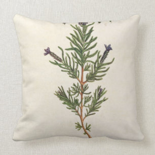 French Lavender, plate 241 from 'A Curious Herbal' Throw Pillow