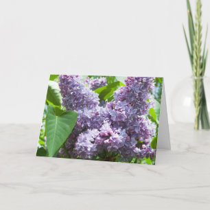 French Lilac Get Well Card Template