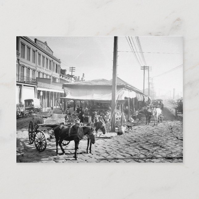 French Market in New Orleans, 1906 Postcard (Front)