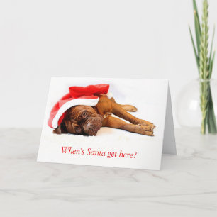 French Mastiff Christmas Card