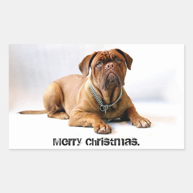 French Mastiff Deadpan Dog Merry Christmas Sticker (Front)