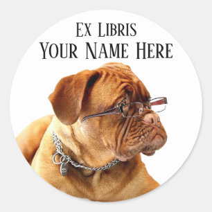 French Mastiff in Glasses Bookplate Sticker