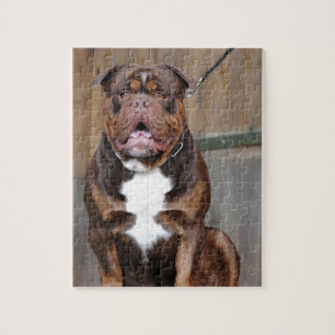French Mastiff Jigsaw Puzzle