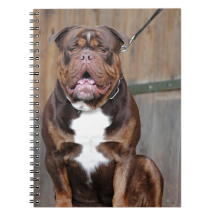 French Mastiff Notebook