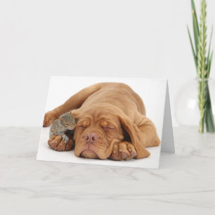 French Mastiff puppy with squirrel Holiday Card