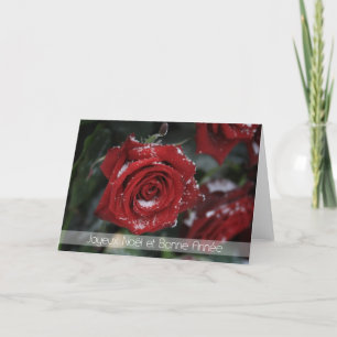 French Merry Christmas-Happy New Year snowy red ro Holiday Card