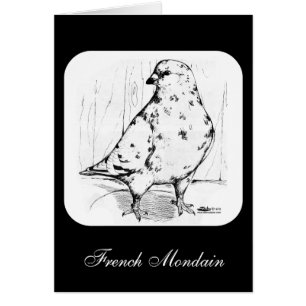 French Mondain Pigeon 1978