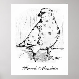 French Mondain Pigeon 1978 Poster