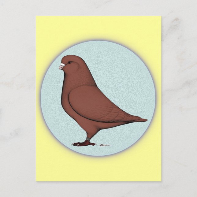 French Mondain Pigeon Circle Postcard (Front)