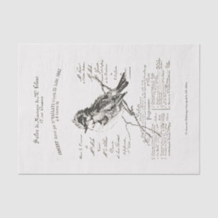 French Music Salon Bird Script Tissue Paper