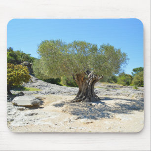 French olive tree mouse pad