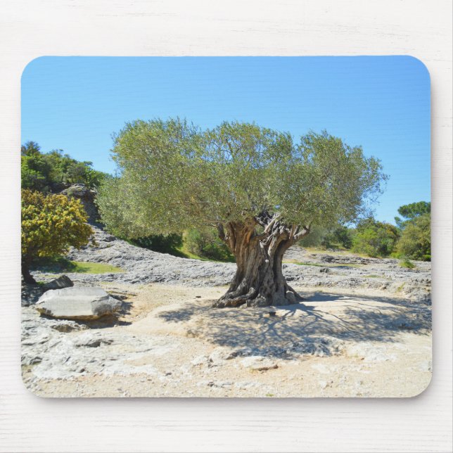 French olive tree mouse pad (Front)