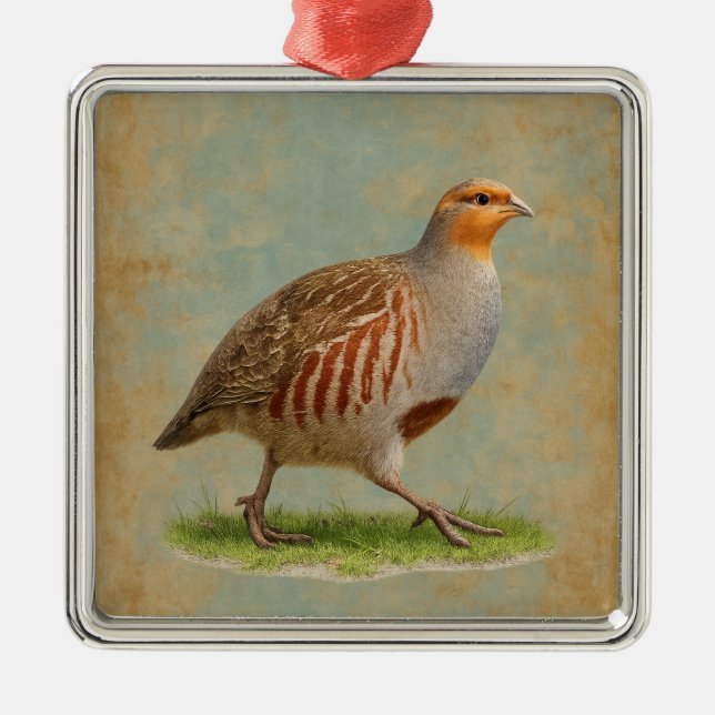 French Partridge  design Christmas tree decoration (Front)