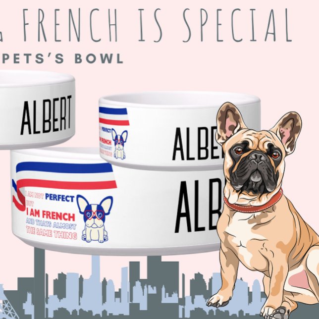 FRENCH pet editable I am not perfect Bowl (Creator Uploaded)