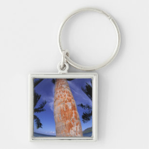 French Polynesia, Bora Bora, Palm trees Keychain