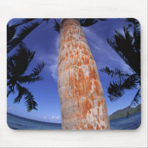French Polynesia, Bora Bora, Palm trees Mouse Pad