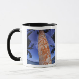 French Polynesia, Bora Bora, Palm trees Mug