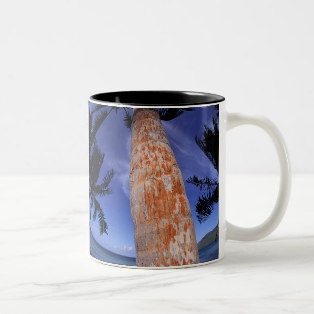 French Polynesia, Bora Bora, Palm trees Two-Tone Coffee Mug (Right)