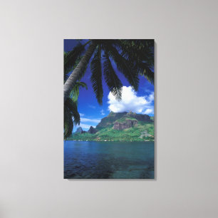 French Polynesia, Moorea. Cooks Bay. Green Canvas Print