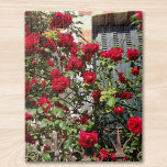 French Red Roses Jigsaw Puzzle<br><div class="desc">This jigsaw puzzle is decorated with a photograph taken in France. It shows climbing red roses in the sunlight, almost obscuring a shuttered window.</div>