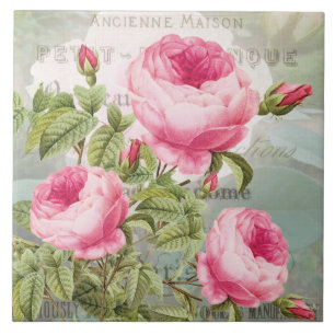 French Redoute Pink Roses Ceramic Tile