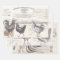 French Rooster Hen Receipt Ephemera Decoupage Bird