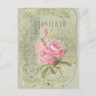 French Rose - Postcard