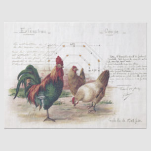 French Script Hen Chicken Farmhouse Decoupage  Tissue Paper
