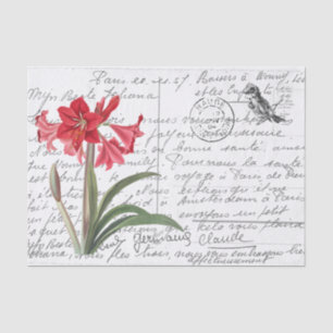 French Script Vintage Amaryllis Bird Postcard Tissue Paper