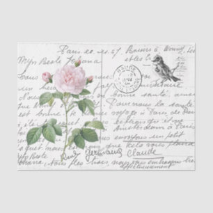 French Script Vintage Blush Rose Bird Postcard Tissue Paper