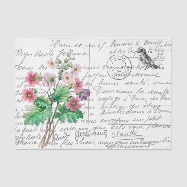 French Script Vintage Primrose Bird Postcard Tissue Paper (Front)