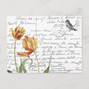 French Script Vintage Tulip Bird Postcard