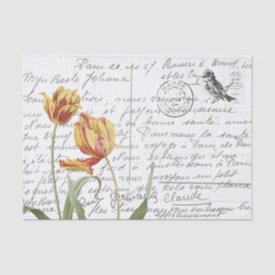 French Script Vintage Tulip Bird Postcard Tissue Paper