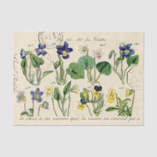 French Script Viola Flowers Vintage Postmark Tissue Paper