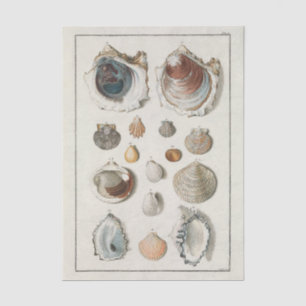 French Seashell Vintage Decoupage Shell Beach Tissue Paper