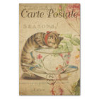 French Style Carte Postale Cat and a Tea Cup