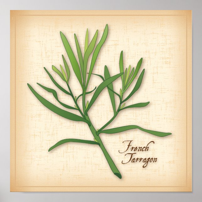 French Tarragon Herb Poster (Front)