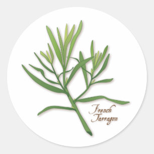 French Tarragon Round Sticker