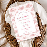French Toile Baby Shower Pink