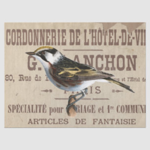 French Typography Decoupage Brown Bird Vintage Tissue Paper