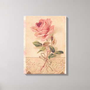 French Victorian Pink Rose Canvas Print