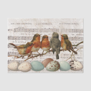 French Vintage Sheet Music Birds Eggs Decoupage