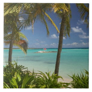 French West Indies, Guadaloupe, Grande Terre, 2 Tile