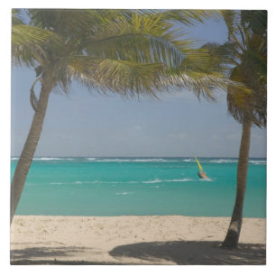 French West Indies, Guadaloupe, Marie, Galante 2 Tile