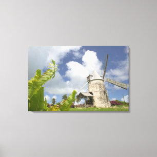 French West Indies, Guadaloupe, Marie, Galante Canvas Print