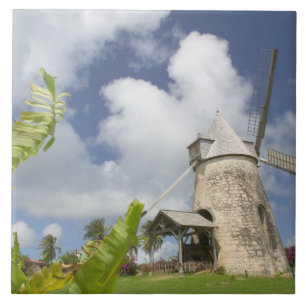 French West Indies, Guadaloupe, Marie, Galante Tile