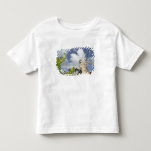 French West Indies, Guadaloupe, Marie, Galante Toddler T-shirt