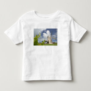 French West Indies, Guadaloupe, Marie, Galante Toddler T-shirt